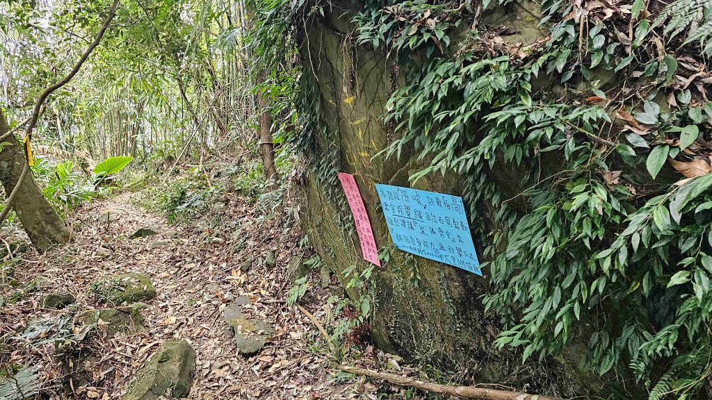 暗影山三進三出_2366568