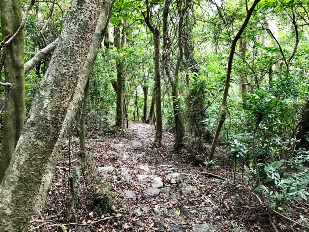 大南澳越嶺古道_553613