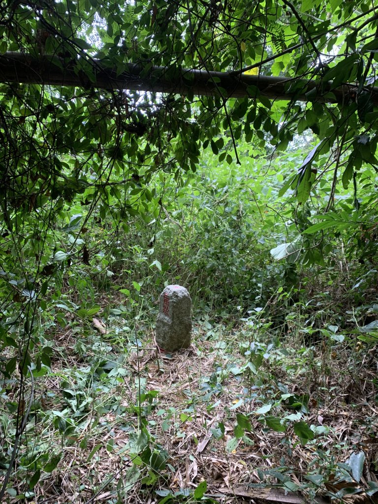 20251024台南邦埤山-三崁山_2925697