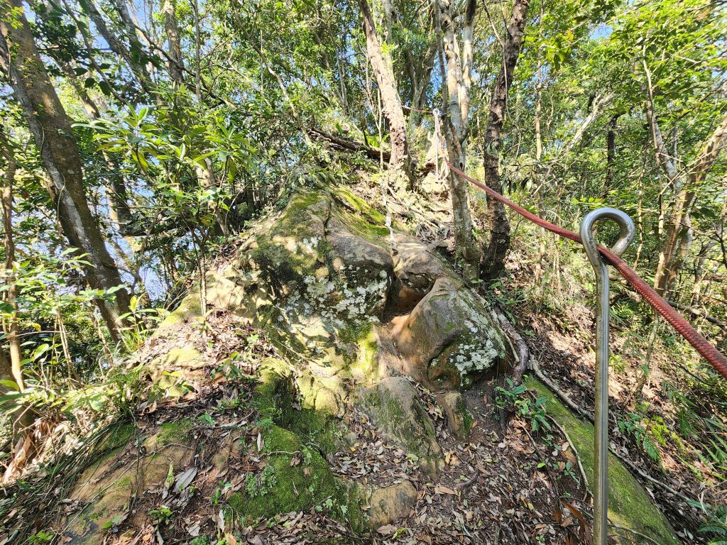 20250323慈湖草嶺山 ~ 五寮尖_2781047