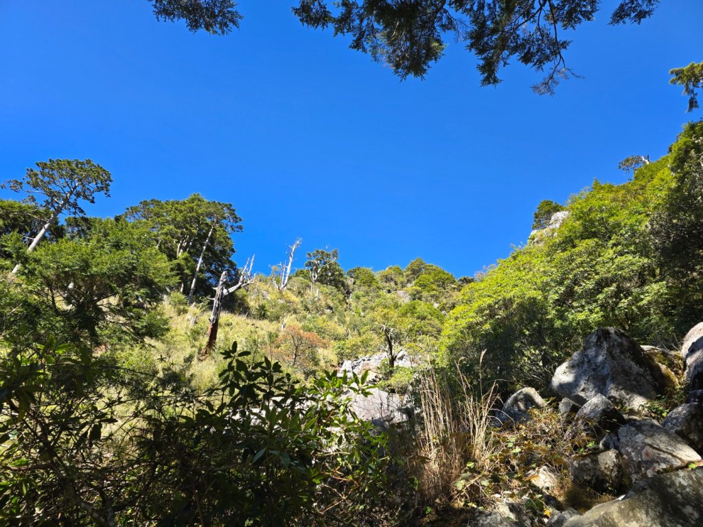 玉山前峰_2663176
