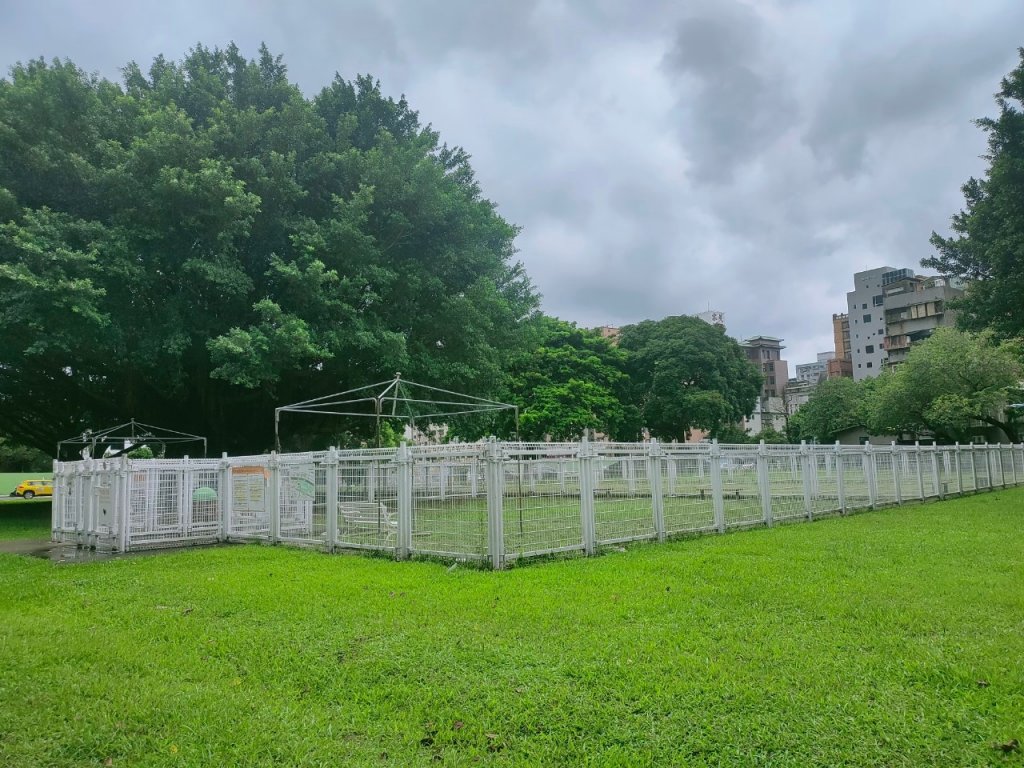 ［健康大穀東］（9~11）：大安，華山，唭哩岸捷運站_2238518