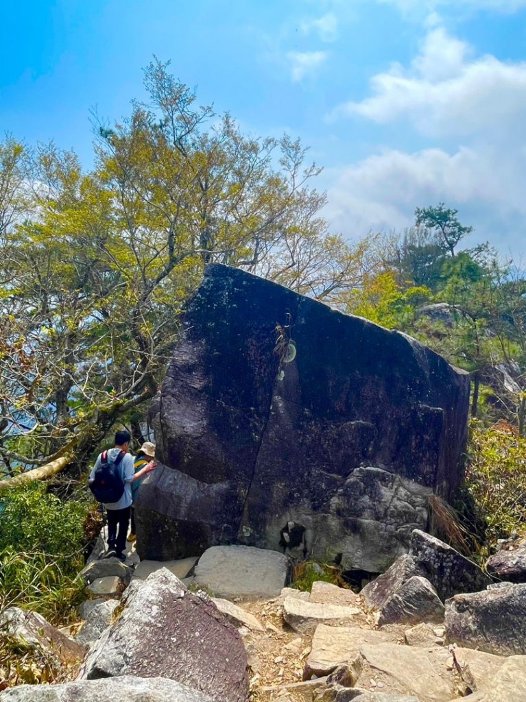 東卯山-楓葉_2042248