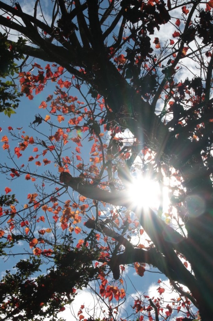 探訪消失的白雪村+北霞山東水兒玉山O型縱走_1991295