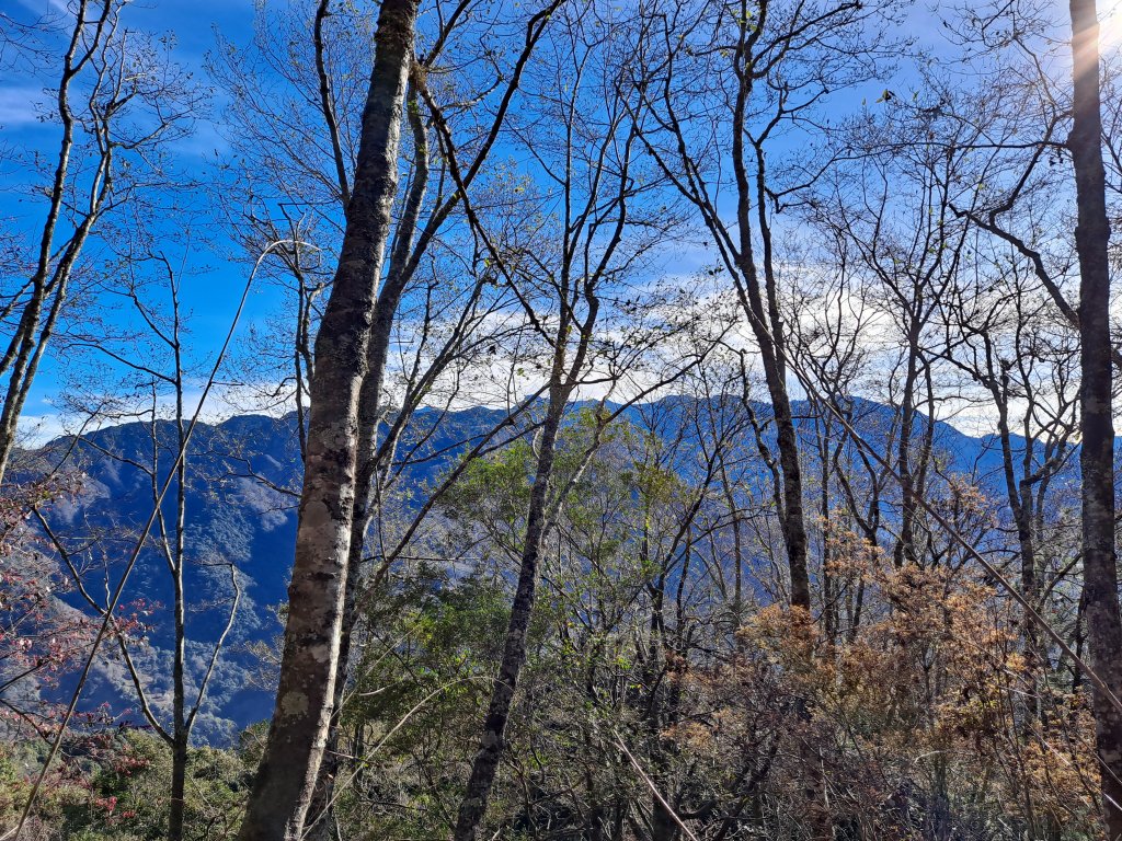 一日白雪村_2039719