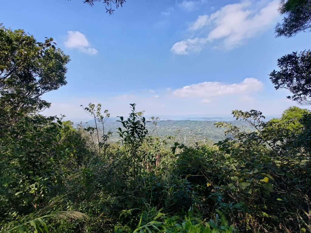 飛鳳山_1908817