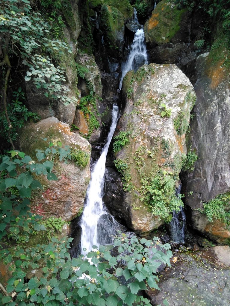 20200317(二）行義路登七星山O行_882819