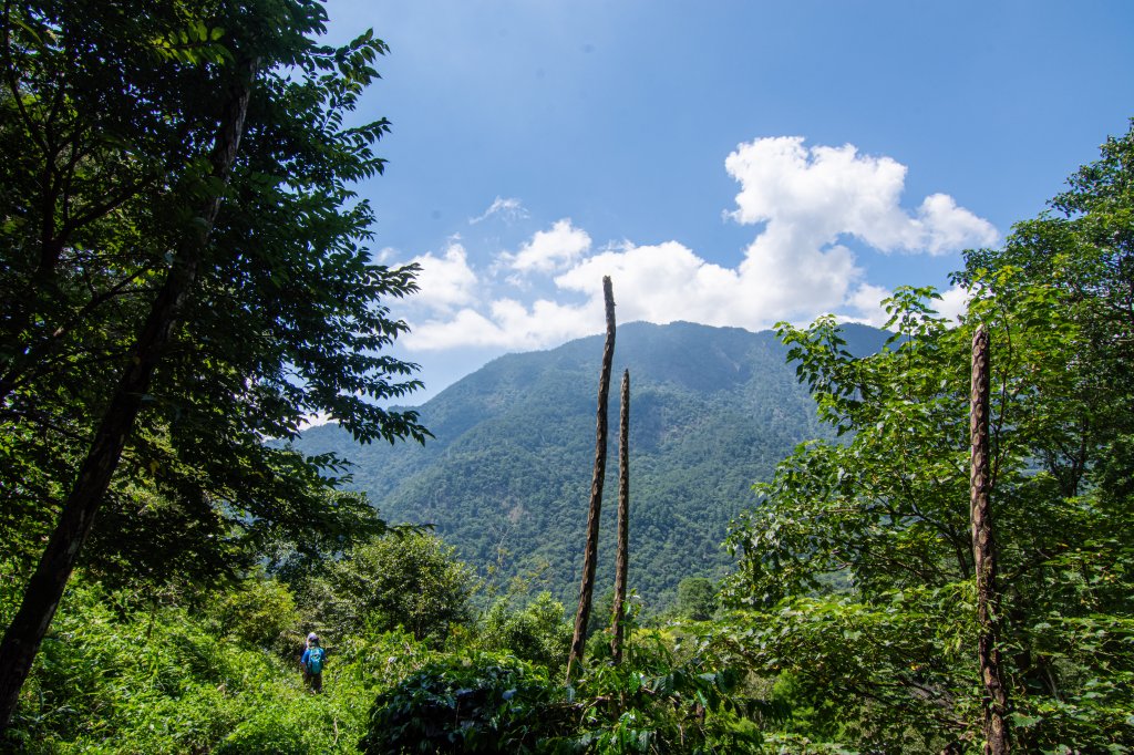 谷關七雄(老么)唐麻丹山/蝴蝶谷_1774330