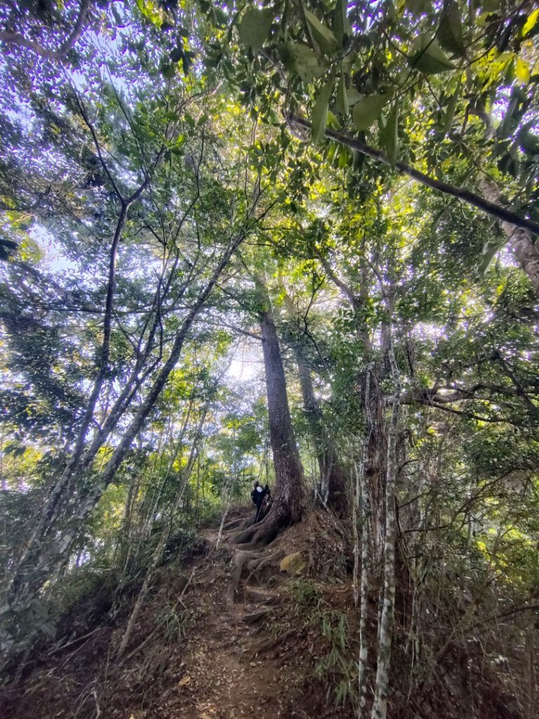 唐麻丹山 蝴蝶谷_2918952