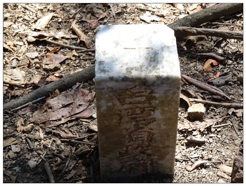 谷關/阿白縱走_822043