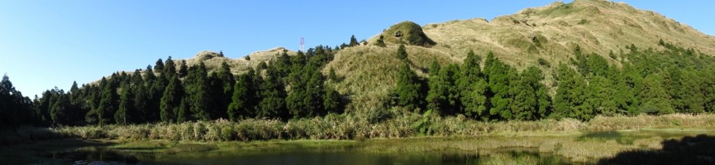 秋高氣爽芒花季再度陽明山天際線-七星山主東峰+大屯山主南西峰向天面天山O型+小觀音山主西南峰共10峰_1511059