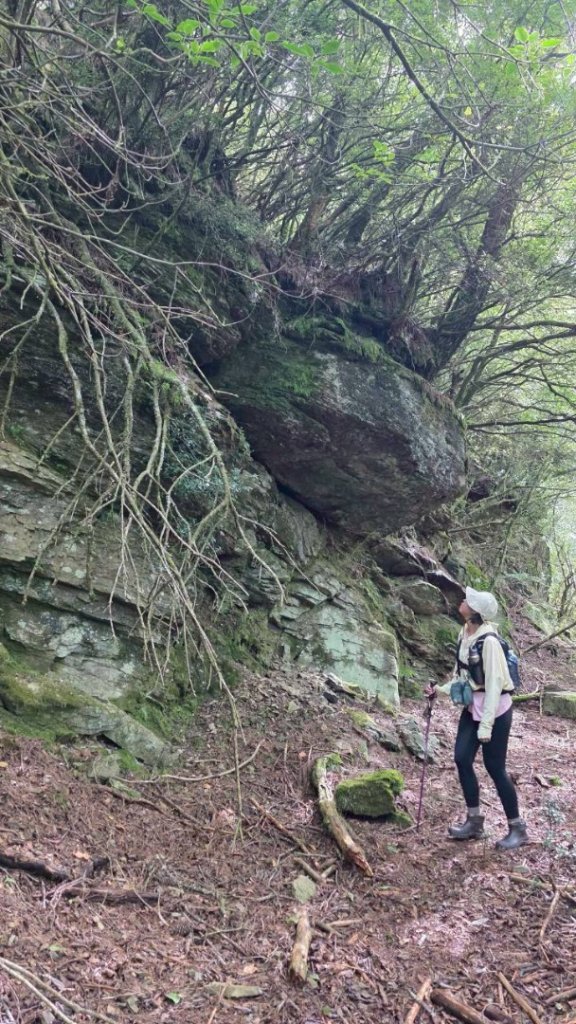 樂雪縱走_2876758