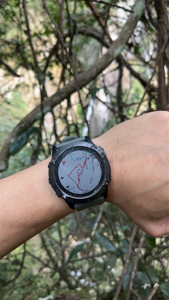 蝶夢八唐搜尋失蹤者 2025.11.25_2954300