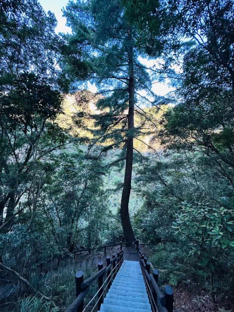 波津加山_2845995