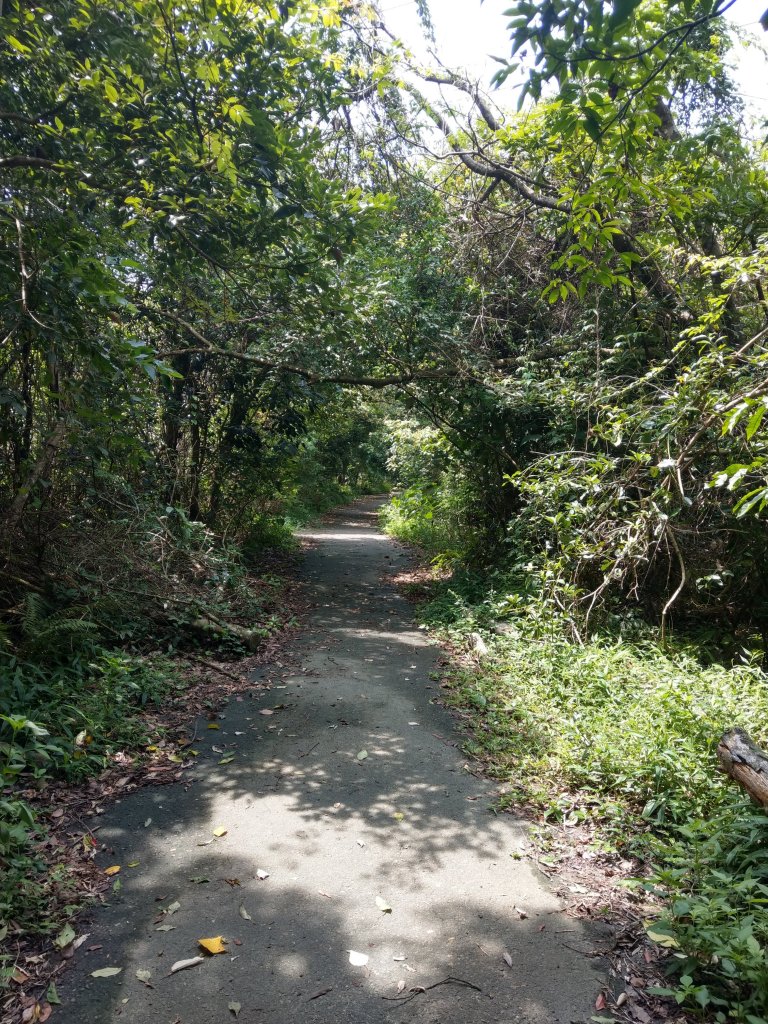 大崙頭山及大崙尾山_673614