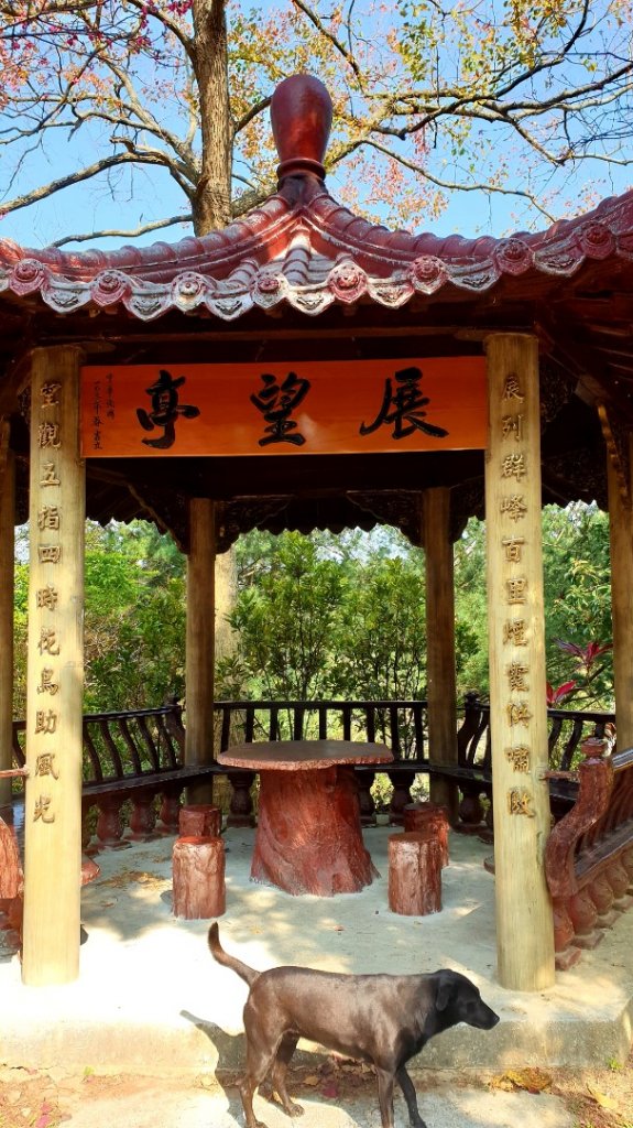 飛鳳山，觀日坪古道_880095