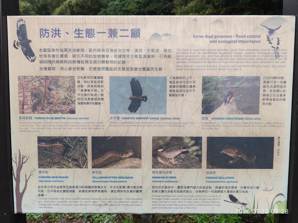 臺灣桃園國際機場、捷運大湖公園站→大溝溪生態治水園區→圓覺寺步道口→新福本坑→碧湖步道_3007757