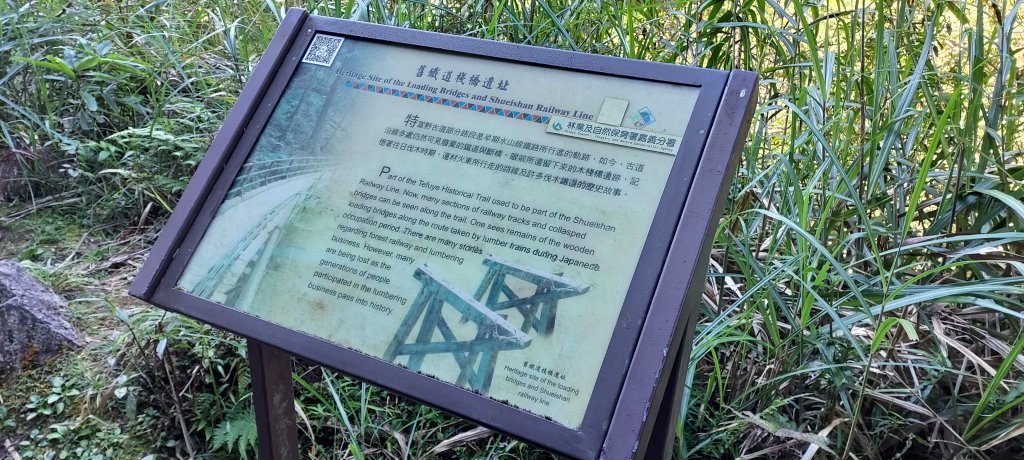 20241127特富野古道+梯子板山_2659309