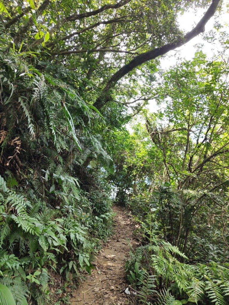 2023.08.26 草湳登二格山_2468918