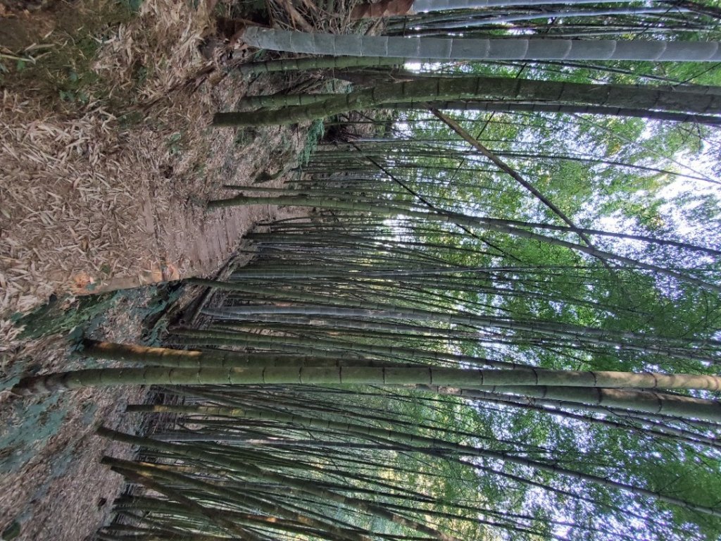 【步道巡訪員】四大天王山步道10月巡訪_1117592