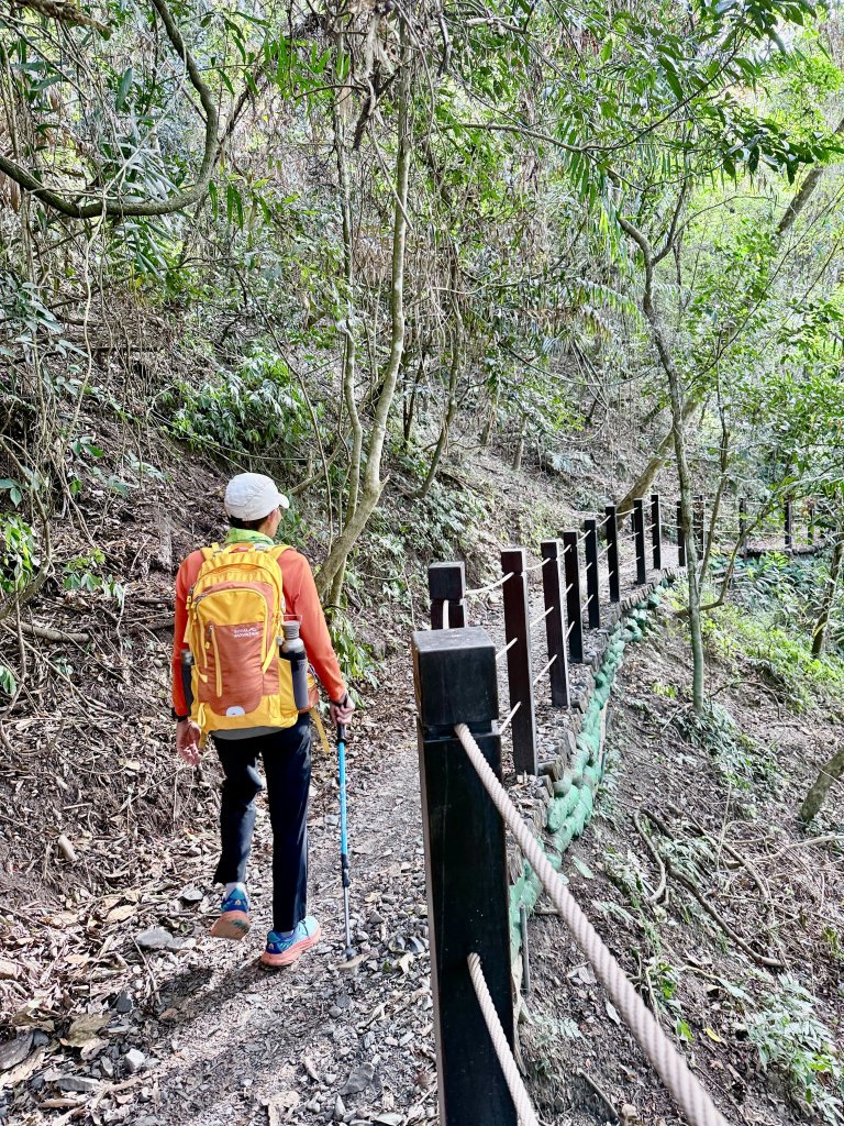 雪山坑步道悠遊順訪雪山坑山(再訪)  2025.12.3_2953767