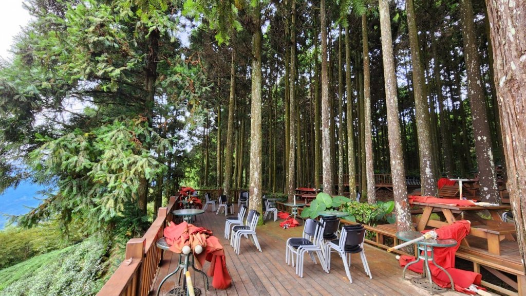 【中級山】有一種美，令人不想回家，新竹鵝公髻山_2744644