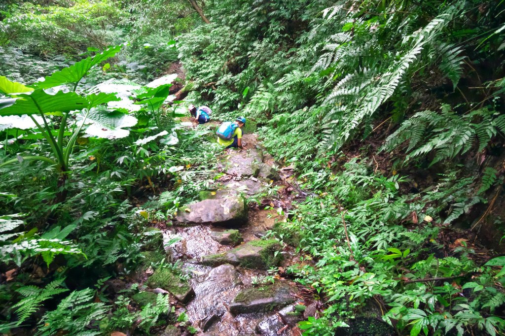 淡蘭古道中路之中坑、崩山坑古道O型_685718