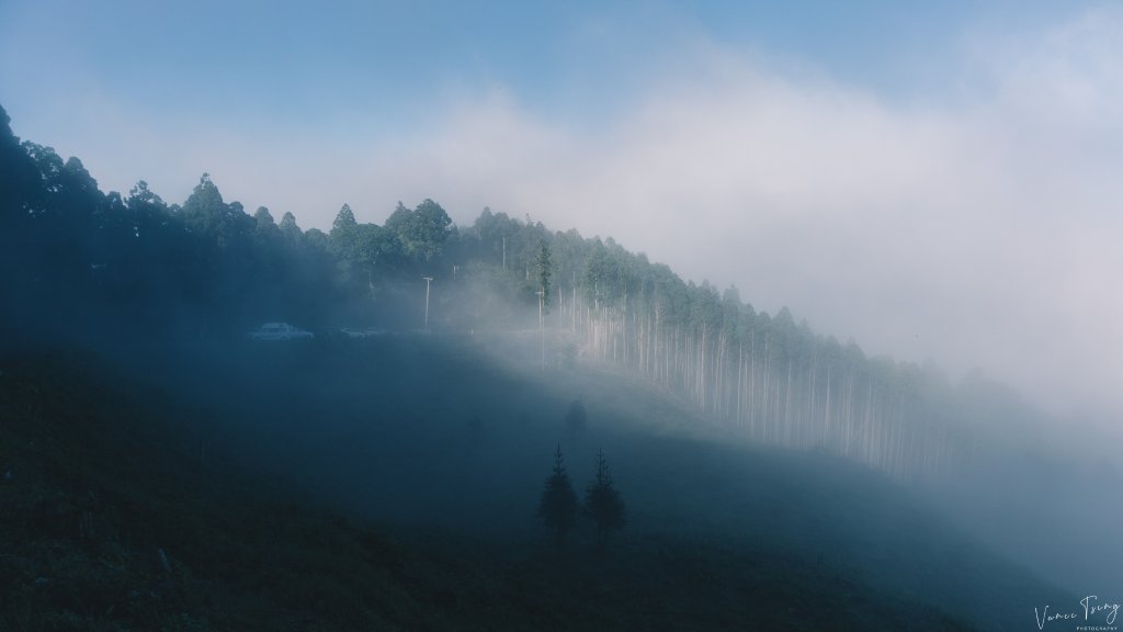 【油羅山】新竹五峰的迷霧花園封面圖