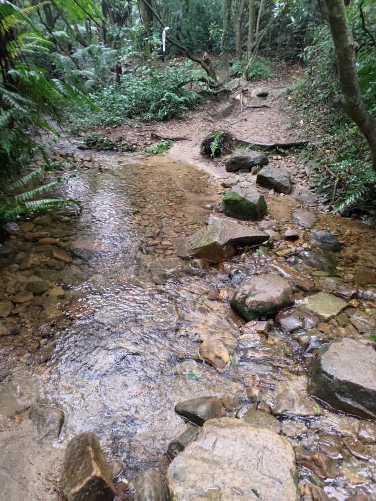 臺北大縱走第4段(風櫃嘴→捷運大湖公園站)_2349874