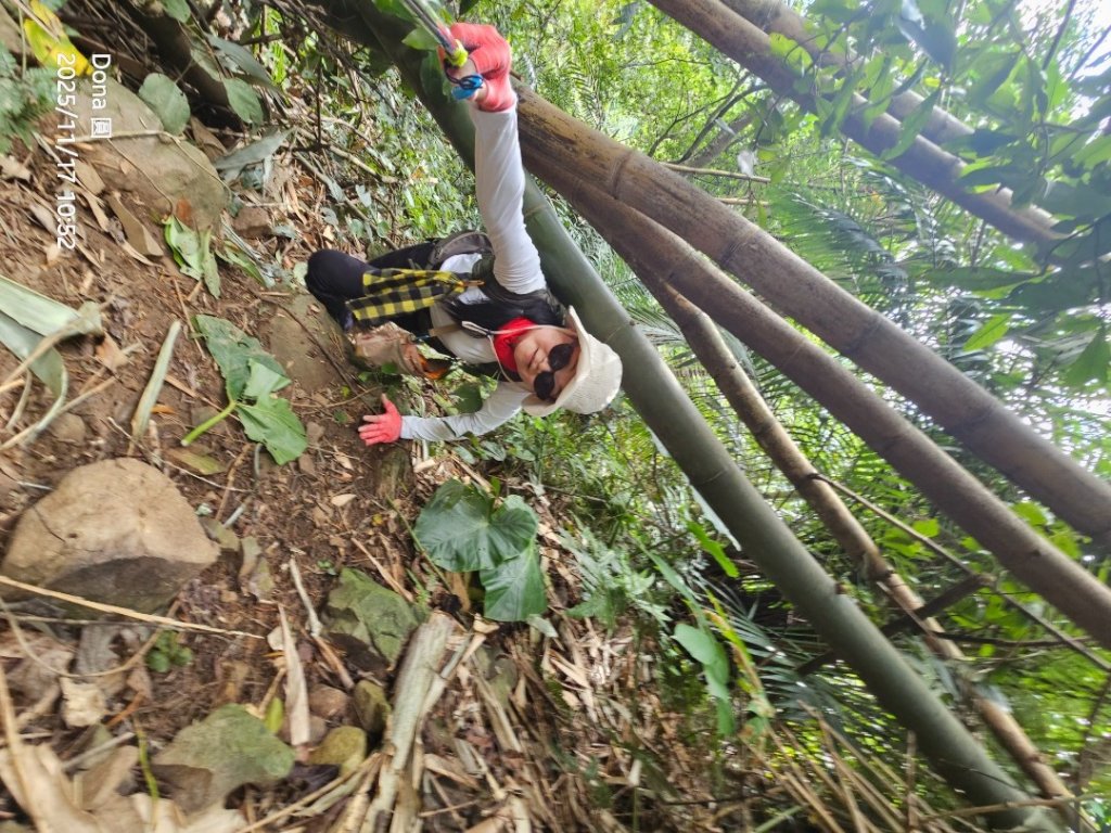 20251117新竹內灣三山四峰(內灣山.麥樹仁山南峰.麥樹仁山.白石湖山)_2939898