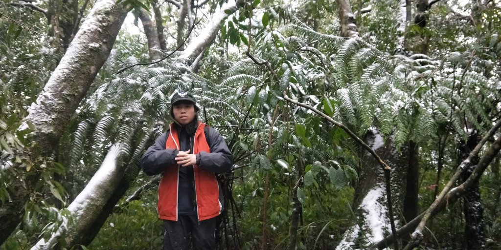 父子倆包山，內洞林道上大保克山群峰追雪_1232834