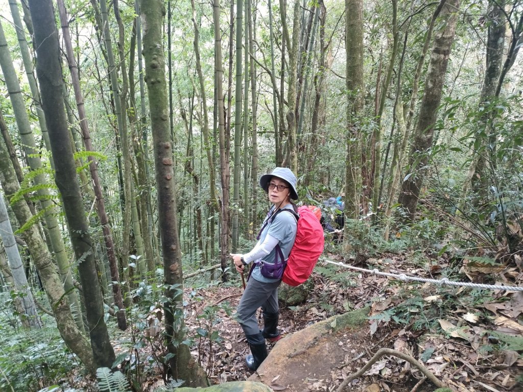 1101127 溪頭九連峰_1528511