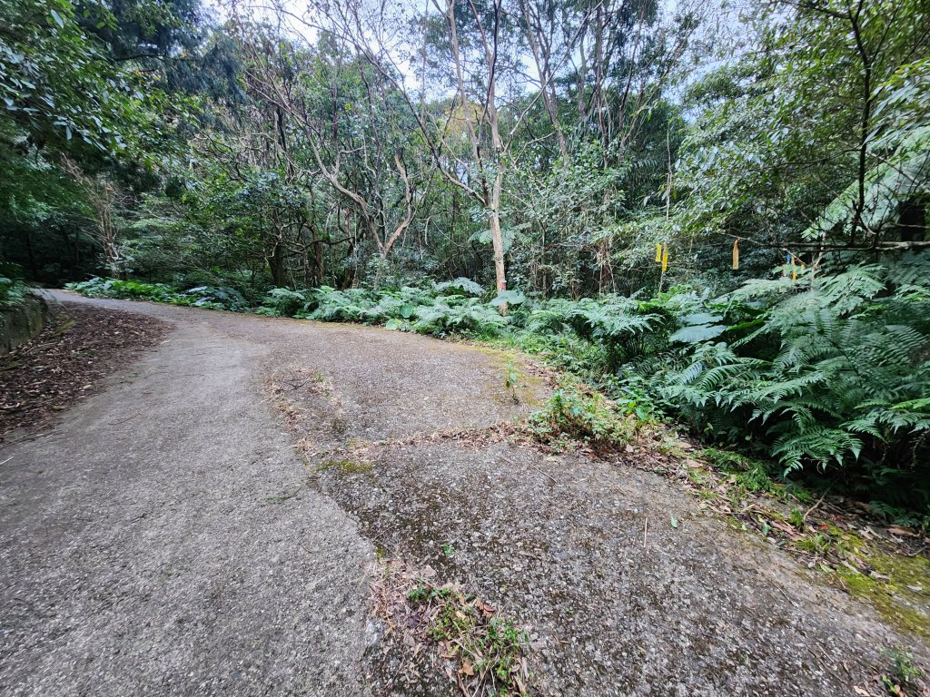 20250112貴妃山那結山外鳥嘴山蓮包山O型_2727122