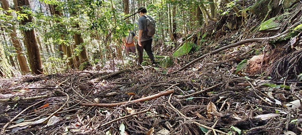 2025/06/15_盡尾山步道_2812744