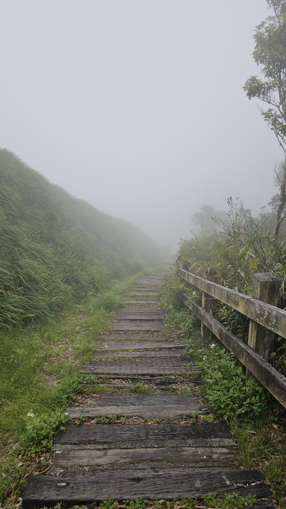240329-第40座小百岳#094太麻里山O繞。美美兔不放過任何一個可以爬山的時間。_2469425