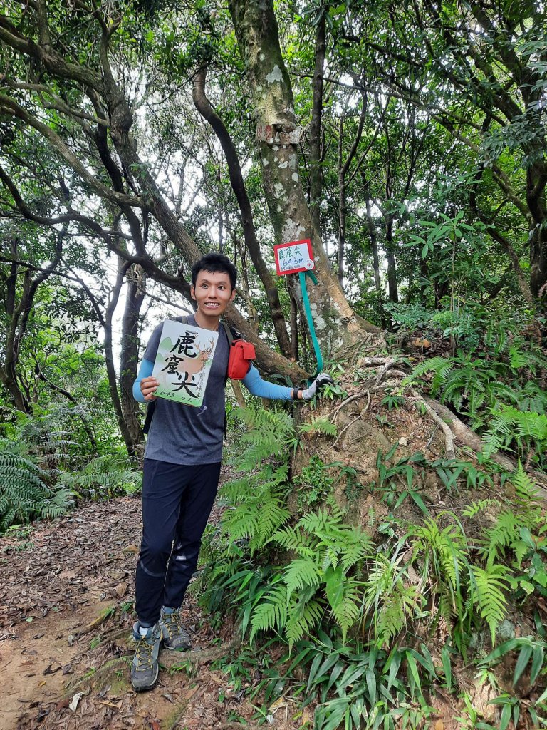 20230715 白雞三山 (鹿窟尖山-雞罩山-白雞山)，高CP好吃的食三麵屋_2219386