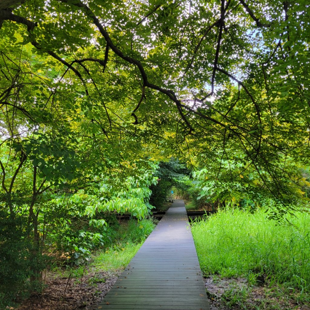 台南市巴克禮公園_2527360