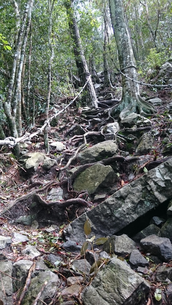 鳶嘴山步道_24394