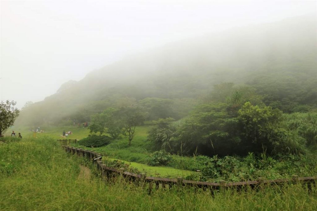 〔陽明山 〕面天山 向天山 向天池 二子坪步道。火山口湖 獨特生物蚌蟲 向天蝦（豐年蝦）_2235368