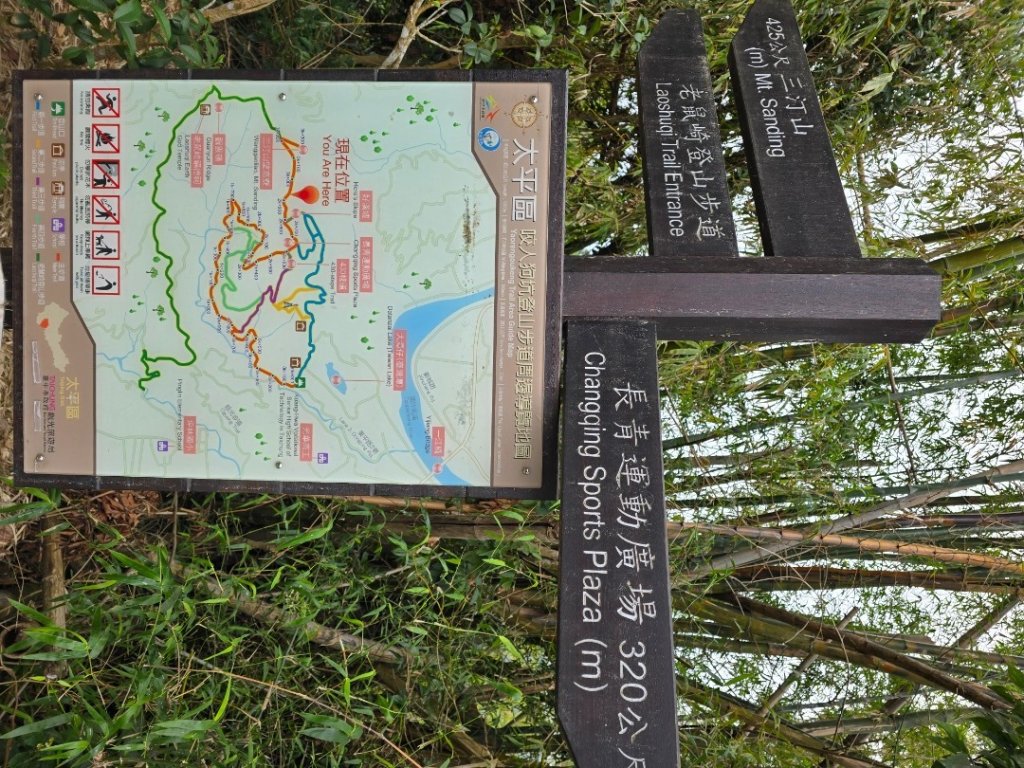 台中咬人狗坑～三汀山（小百岳～巧遇大冠鷲）_2720004