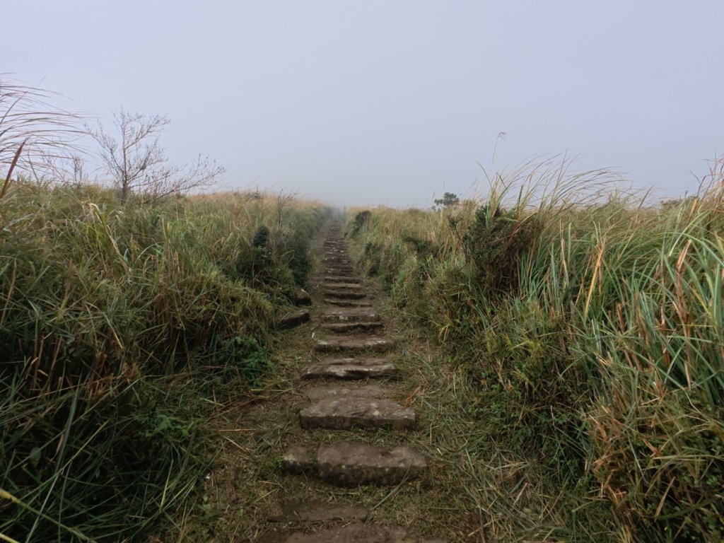 大屯山五連峰含面天山封面圖