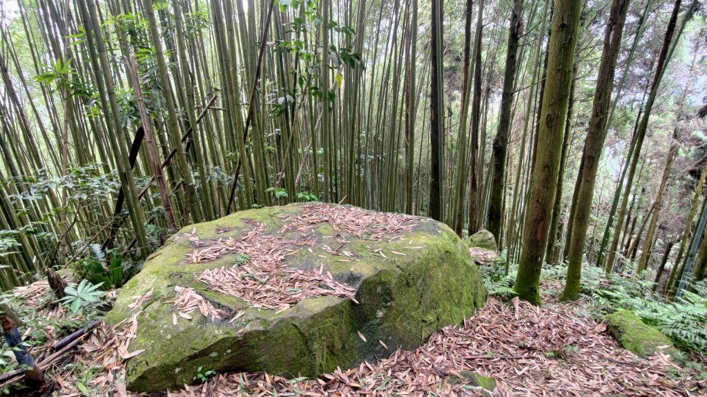 鬼澤山封面圖