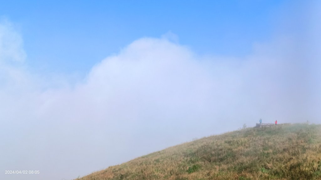 傻傻分不清楚！ #霧虹 ？  #觀音圈 #端紅蝶 #鐘萼木_2469358