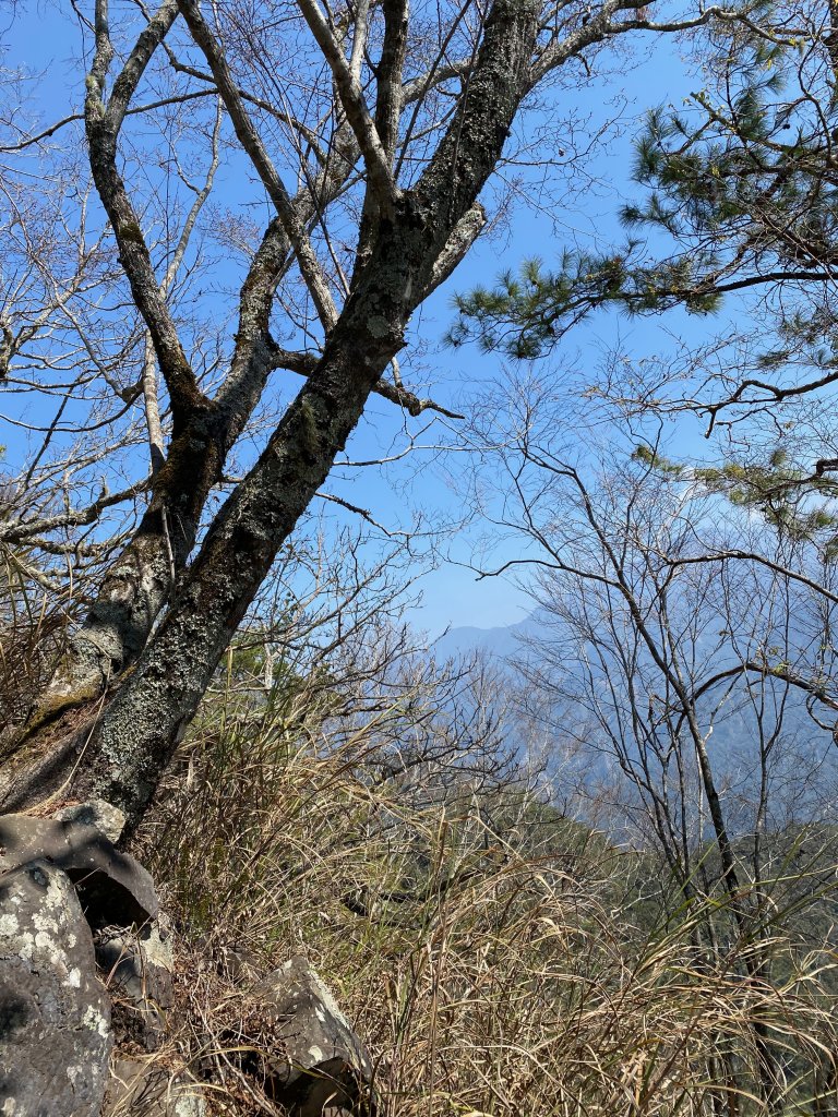 1120311坡津加步道_2643632