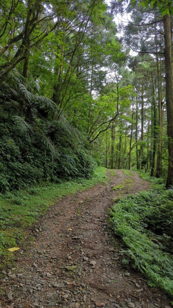 113.06.22坪溪古道-石坑山之旅_2533778
