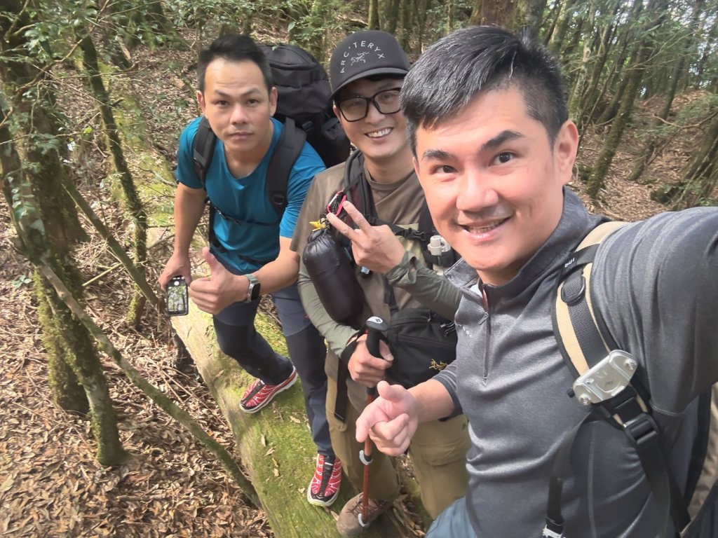 雪見遊憩區 探訪森林雪見大板根樹_2950845