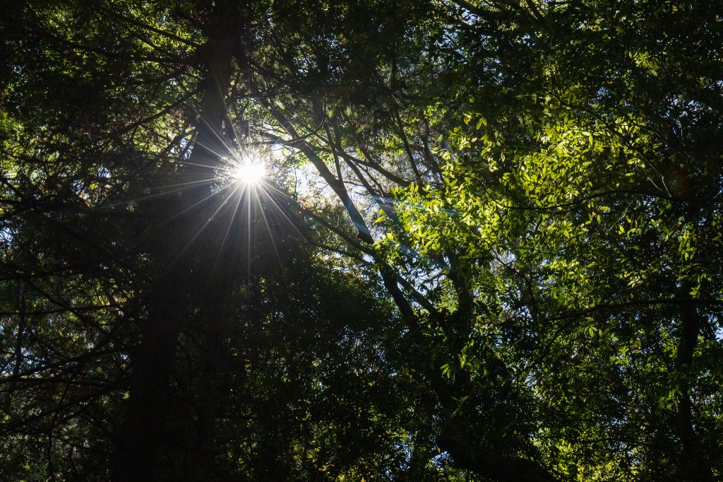 【秀巒-芝生毛台山】砲台遺址_1030532