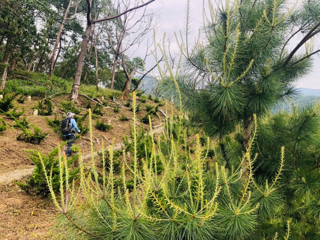 1090411大克山_913909