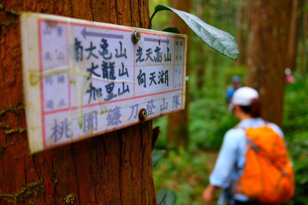 向天湖山...沈睡山中的海狸_530330