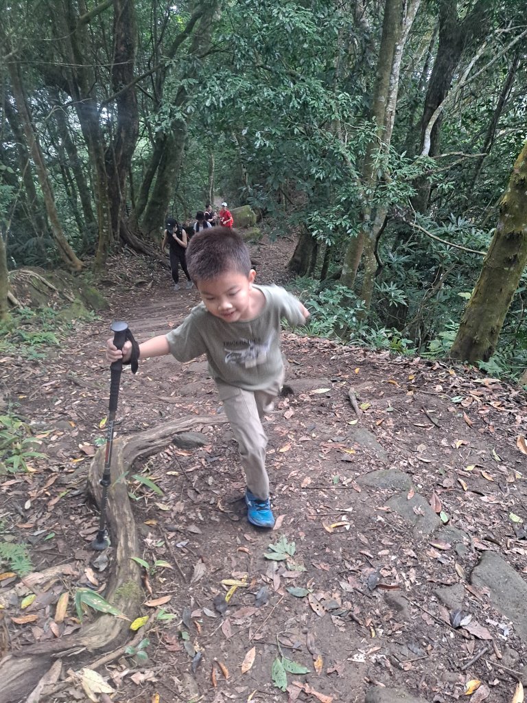 馬那邦山(親子團)_1963847